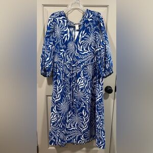 NWT H&M Blue and White Botanical Dress - Size Large
